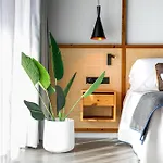 Aubamar Palma 플라야 데 팔마